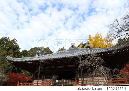 京都醍醐寺觀音堂及秋葉 113294214