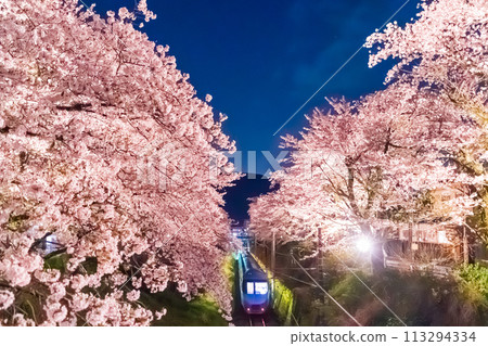 小田急浪漫特快和山北夜櫻 113294334