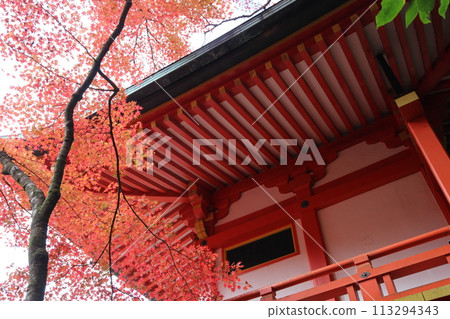 Kyoto Daigoji Temple Benten-do and Autumn Leaves 113294343