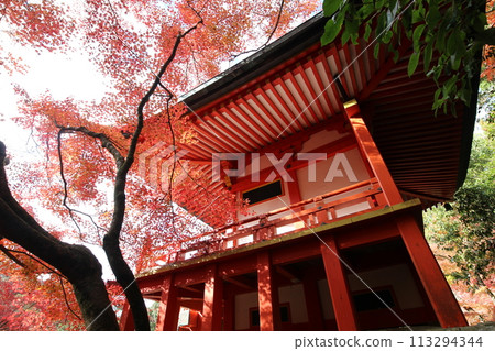 京都第一御殿堂和秋葉 113294344