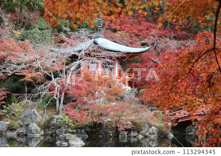 京都第一御殿堂和秋葉 113294345