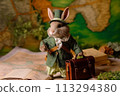 Dapper Explorer Rabbit 113294380