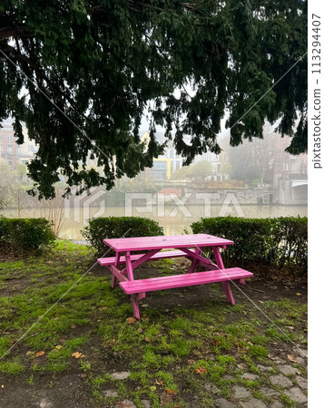 A pink picnic table is sitting under a tree in a park 113294407