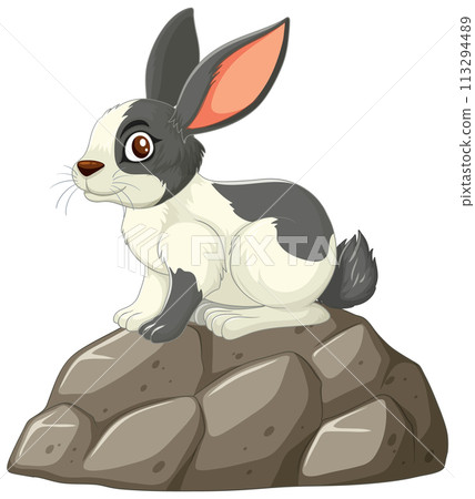 Curious Rabbit on a Rocky Outcrop 113294489