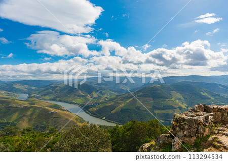 Douro Valley, Portugal, home of Port Wine, World Heritage Site, vast vineyards and the Douro Valley Douro Valley, Portugal, home of Port Wine, World Heritage Site, vast vineyards and the Douro Valley 113294534