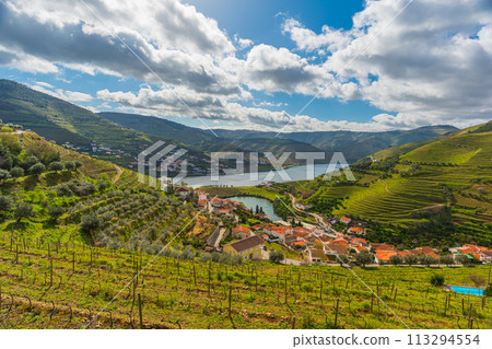 葡萄牙杜羅河谷,波特酒之鄉,世界遺產,廣闊的葡萄園和杜羅河谷的風景 葡萄牙杜羅河谷,波特酒之鄉,世界遺產,廣闊的葡萄園和杜羅河谷的風景 113294554