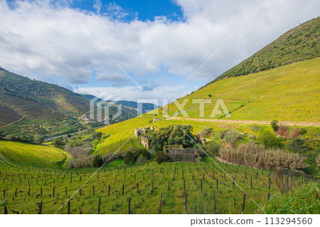 Douro Valley, Portugal, home of Port Wine, World Heritage Site, vast vineyards and the Douro Valley Douro Valley, Portugal, home of Port Wine, World Heritage Site, vast vineyards and the Douro Valley 113294560