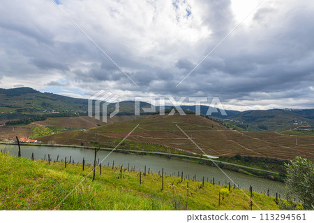 Douro Valley, Portugal, home of Port Wine, World Heritage Site, vast vineyards and the Douro Valley 113294561
