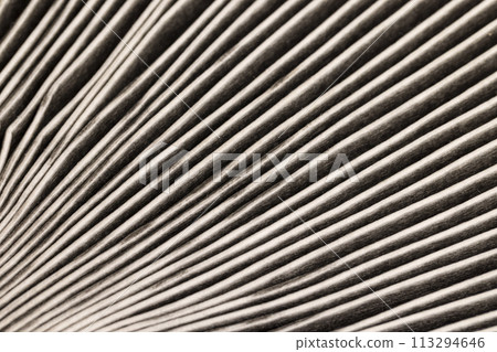 a dirty long-used air purification filter 113294646