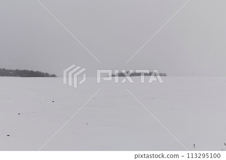 a snow-covered field and forest during a snowfall, the sky a snow-covered field and forest during a snowfall, the sky 113295100