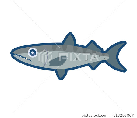 Cute barracuda illustration 113295867