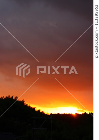 Clouds covering the sky and the setting sun 113295952