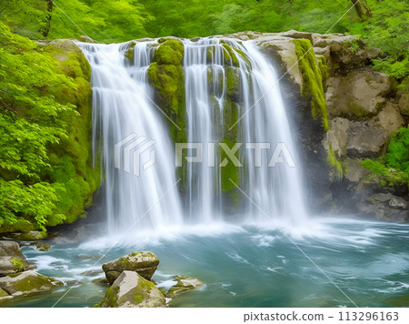 waterfall in forest 113296163