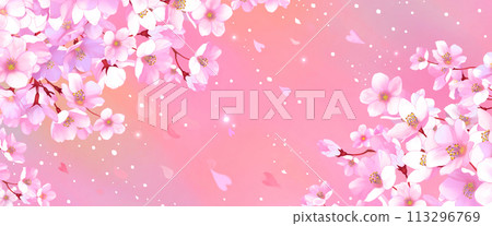 Cherry blossom background, cherry blossom snow, pink, horizontal 113296769