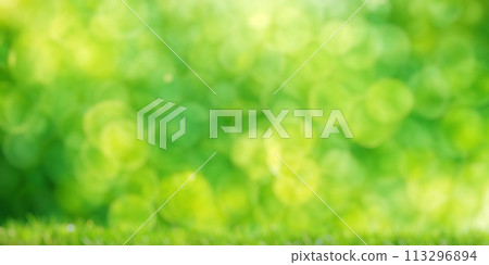 Sunny green foliage bokeh background 113296894
