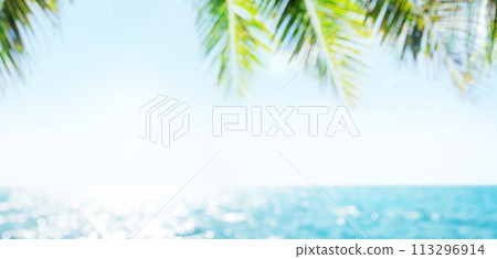 Blurred sunny sea landscape with sun, sea, palm leaves 113296914