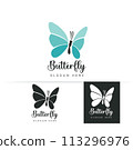 Stylized image of butterfly logo template isolate Vector illustration 113296976