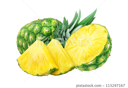 Pineapple illustration realistic Pineapple illustration realistic 113297167
