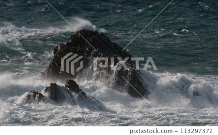 Wave spray hitting the reef Wave spray hitting the reef 113297372