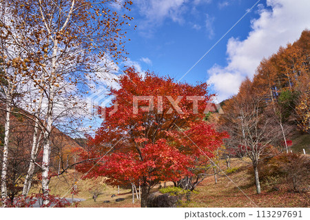 View from National Route 152 in Chino City, Nagano Prefecture 113297691
