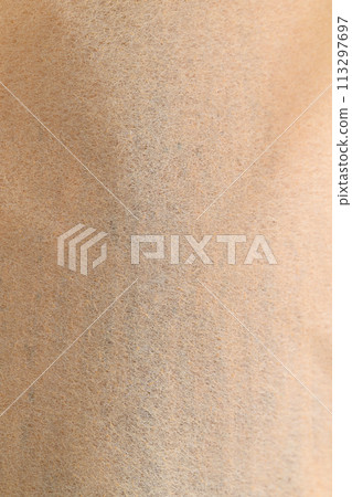 A collaboration between Japanese paper and bamboo [Background material] 113297697