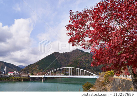 神奈川縣田澤湖秋葉 神奈川縣田澤湖秋葉 113297699