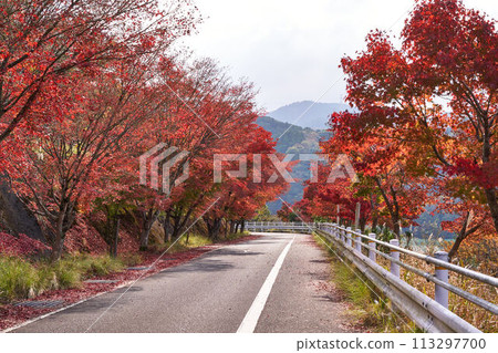 神奈川縣田澤湖秋葉 神奈川縣田澤湖秋葉 113297700