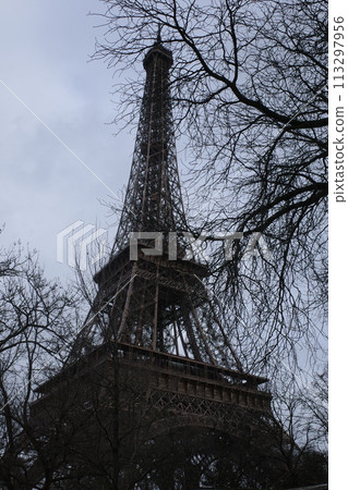 Eiffel Tower under a cloudy winter sky 113297956