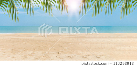 Green leaves of Palm coconut trees against blue sky and beautiful beach on day. View with of nice tropical beach. Vacation holidays background. Wallpaper. Copy space bottom side for design or content 113298918