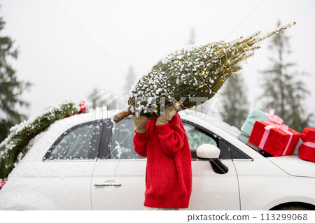 Woman carries wrapped Christmas tree near car in mountains 113299068