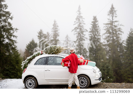 Woman travels by car in mountains during winter holidays 113299069
