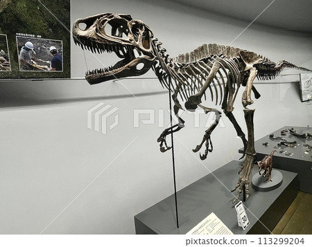 [Fukui] Fukui Prefectural Dinosaur Museum: Fukuiraptor and Fukuisaurus skeletal specimens 113299204