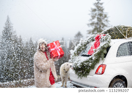 Woman travels by car during winter holidays 113299207