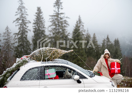 Woman travels by car with presents and Christmas tree on the mountain road 113299216