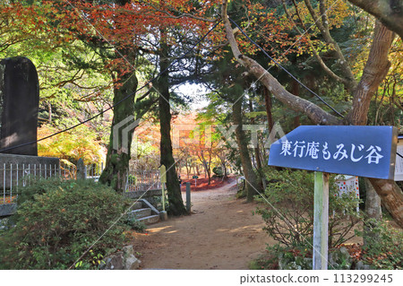 A famous spot for autumn leaves: Togyoan Momiji Valley in Shimonoseki, Yamaguchi Prefecture A famous spot for autumn leaves: Togyoan Momiji Valley in Shimonoseki, Yamaguchi Prefecture 113299245