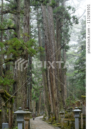 World Heritage Site Mount Koya: Okunoin approach lined with giant trees, Wakayama Prefecture 113299301