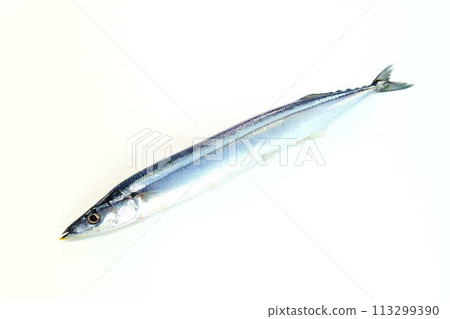 Sanma Sanma Sanma Sanma Sanma Sanma 113299390
