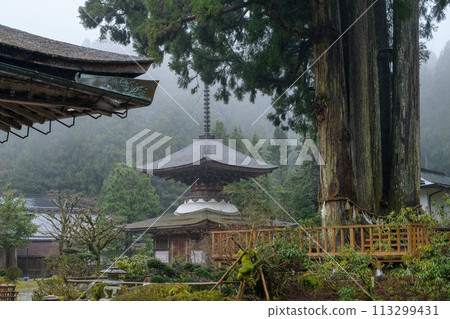 Mount Koya: Kongo-sanmai-in Temple shrouded in rain, the national treasure Tahoto Pagoda and Ropponsugi cedars, Wakayama Prefecture Mount Koya: Kongo-sanmai-in Temple shrouded in rain, the national treasure Tahoto Pagoda and Ropponsugi cedars, Wakayama Prefecture 113299431