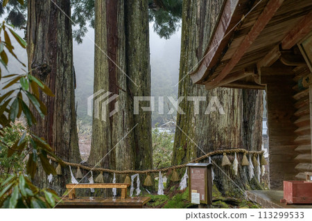 Mount Koya: Kongo-Zanmai-in Temple shrouded in rain, Ropponsugi cedars and sutra repository, Wakayama Prefecture Mount Koya: Kongo-Zanmai-in Temple shrouded in rain, Ropponsugi cedars and sutra repository, Wakayama Prefecture 113299533