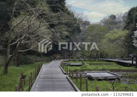 Higashi Takane Forest Park 113299681