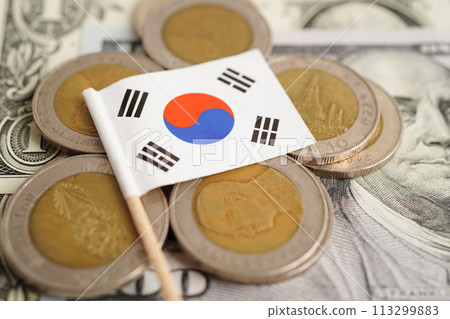 South Korea flag on coins background, finance and accounting, banking concept. 113299883