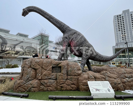 [Fukui] JR Fukui Station and the Dinosaur Monument 113299900