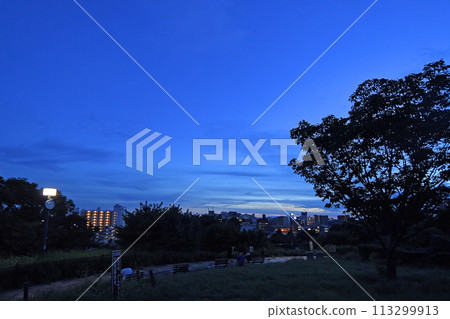 東京都目黑區青葉台西鄉山公園夜景 113299913