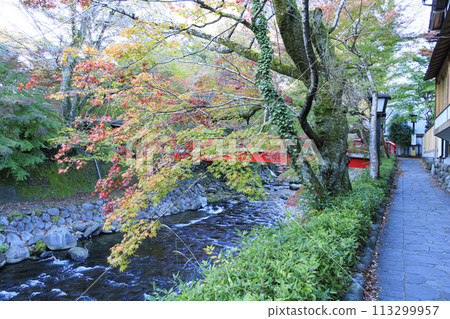 Valley dyed in autumn leaves 113299957