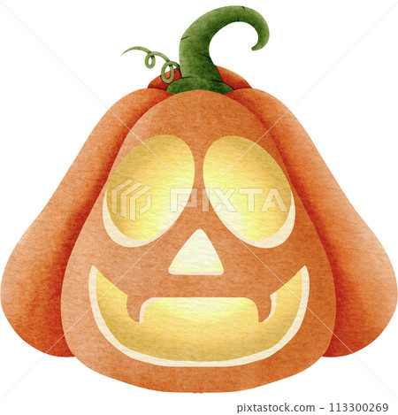 pumpkin on a white background 113300269