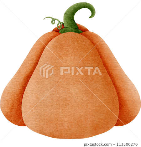 pumpkin on a white background 113300270