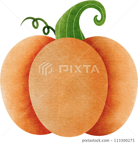 pumpkin on a white background 113300271