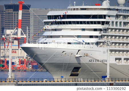 Large cruise ship at anchor (Tokyo International Cruise Terminal) Large cruise ship at anchor (Tokyo International Cruise Terminal) 113300292