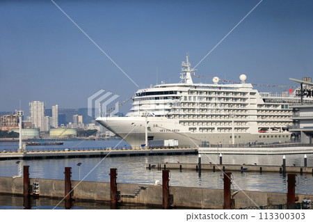 停泊的大型遊輪（東京國際郵輪碼頭） 113300303