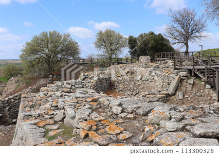 Ruins of Troy, World Heritage Site, Türkiye Ruins of Troy, World Heritage Site, Türkiye 113300328